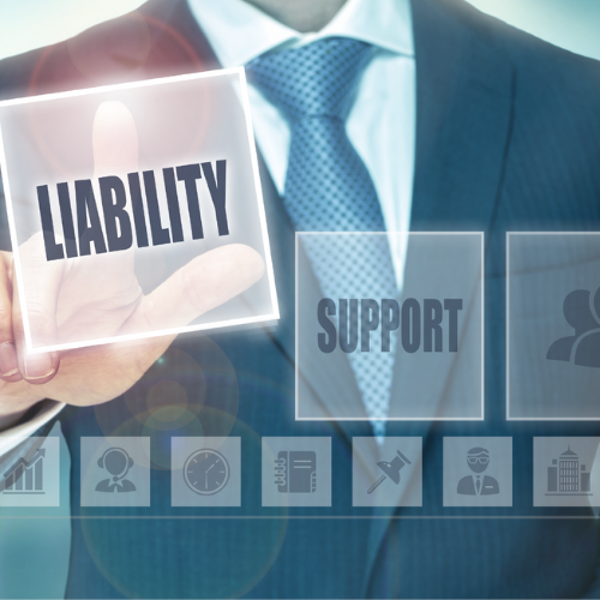 Picture of Commercial and Professional Liability Insurance 2023 Edition