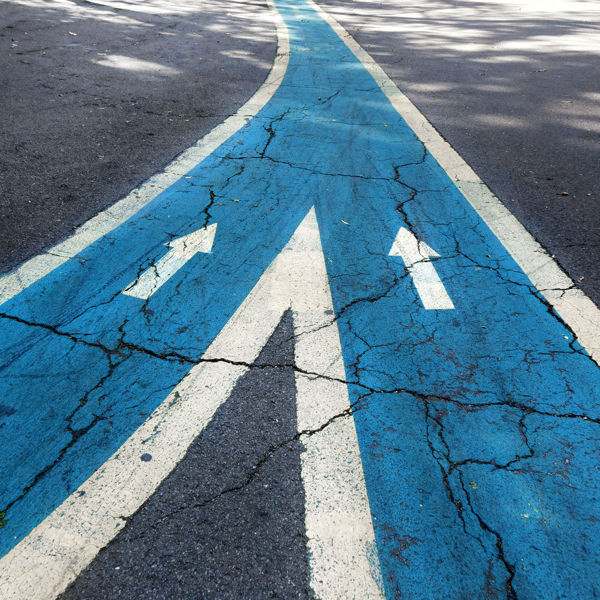Picture of The Intersection of Special Needs Trusts and Guardianship Estates