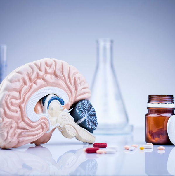 Cutaway brain model on table with open prescription drug bottle