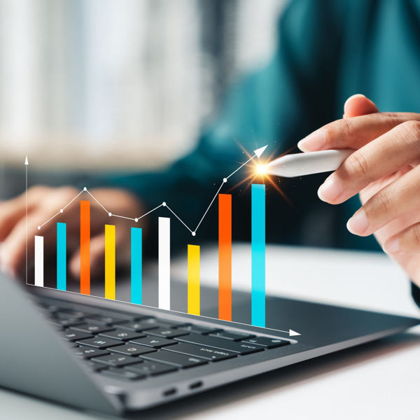 Picture of How to Utilize Current Technology in the Development of Marital Balance  Sheets & Lifestyle Analysis