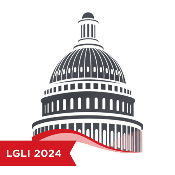 Picture of Case Law and Legislative Update 2024 – Local Government Law
