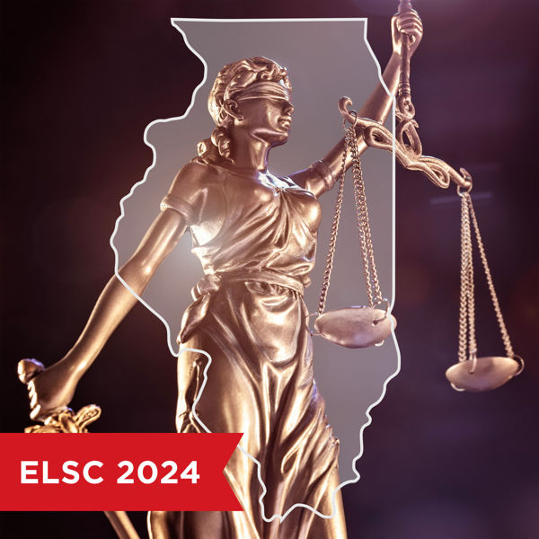 Picture of Illinois Elder Law Case Law and Legislative Update 2024