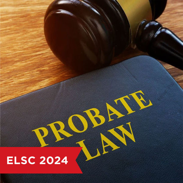 Picture of Probate Basics