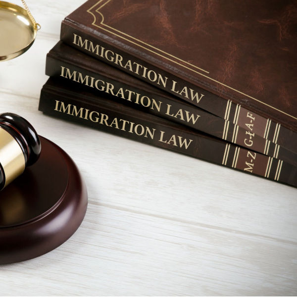 Stack of leather-bound books on Immigration Law