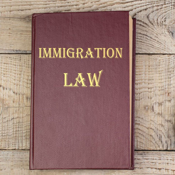 Red leather book labeled Immigration Law in gold foil