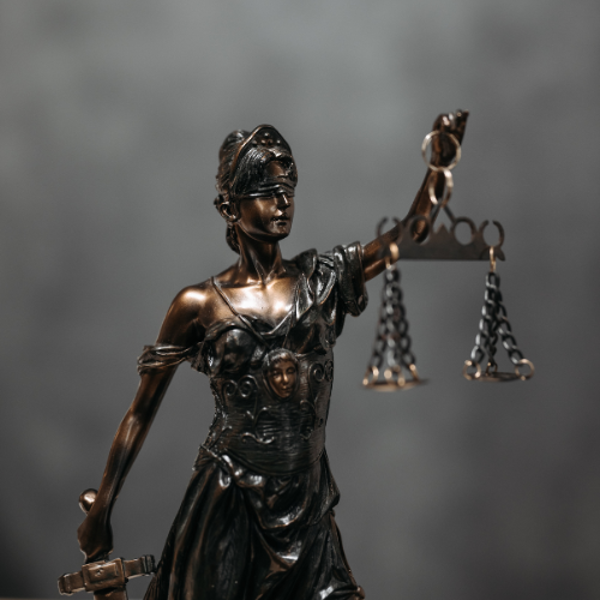 Picture of Trial Training for Family Lawyers