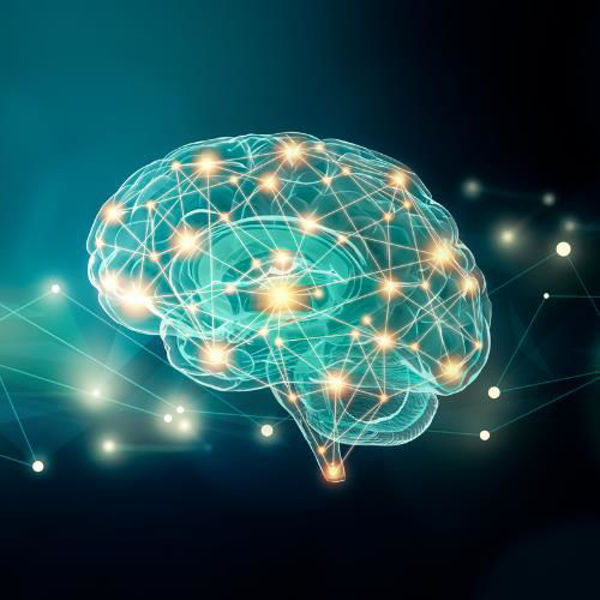 Picture of Understanding Psychological Dynamics in Probate Litigation